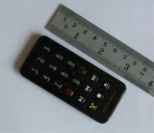 remoter2.jpg