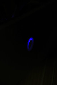 IMG_6963.jpg