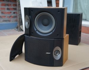 Bose 301V (1).JPG