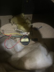 92059B8F-359F-4F47-B6EE-079683776809.jpeg