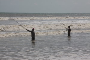IMG_0203.jpg