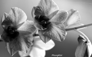 IMG_3993.JPG