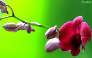 IMG_4008.JPG