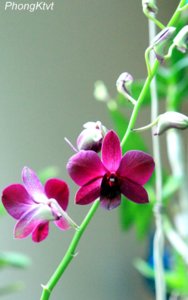 IMG_4155.JPG