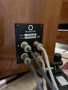 martens iii.jpg