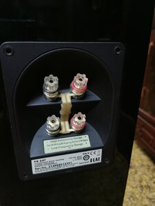 IMG_20210328_093257.jpg