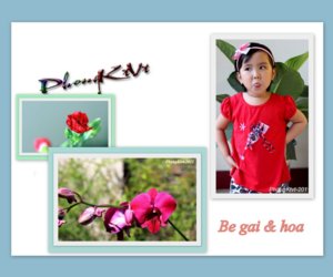 My Pictures 1-DB.jpg