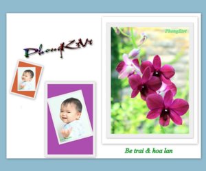 Collages.jpg