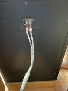 z2445857426497_706494d2ae0c59bd9e631ca2664ad902.jpg