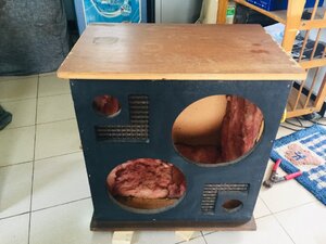 81919202-2ADF-4ABF-AA69-3F7D2D56422F.jpeg