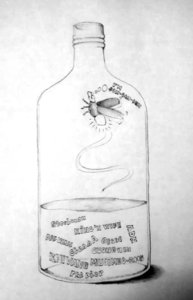 IMAG0113.jpg
