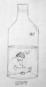 IMAG0107.jpg