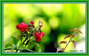 IMG_5844.JPG