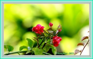 IMG_5856.JPG