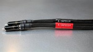 Acapella High Lamusika Cables High-Purity Silver.jpg