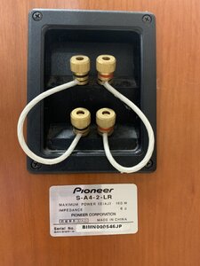 Pioneer S-A4-2-LR | VNAV - Mạng Nghe nhìn Việt nam