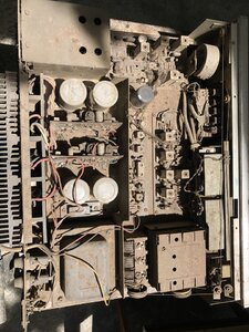 B43D0480-5C27-4BC8-B244-6D405B86ADB3.jpeg