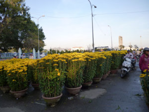 P1000155.JPG