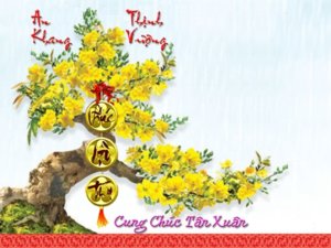 Chuc Xuan.jpg