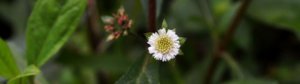 DSC_0587.JPG