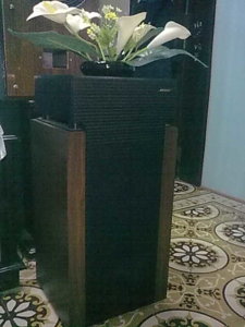 29012012010.jpg