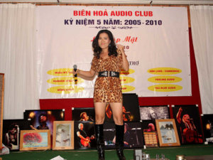 bienhoaaudiofestivan201j.jpg