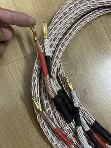 z2546798618776_c34d5e26214708d35534c96362467f99.jpg