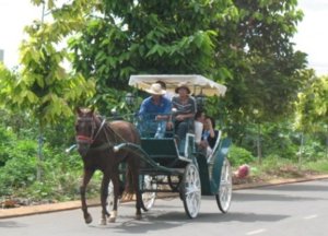 xe ngua buon ma thuot.jpg