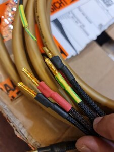 C0A12475-3E12-410C-92B3-12FE1BC278B3.jpeg