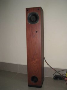 sony ni 1 (1).JPG