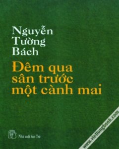 nguyen-tuong-bach-dem-qua-san-truoc-mot-canh-mai.jpg