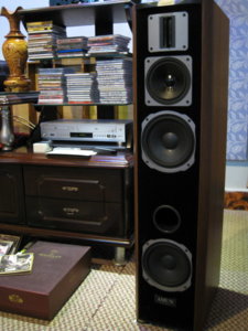 Mr Van's Speaker AMUN.jpg