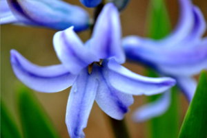 075.JPG resize.jpg