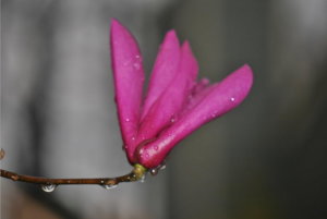 034.JPG Resize.jpg