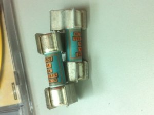 Chan FUSE.jpg
