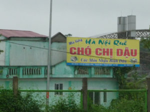 chi_dau_van_phai_di_ban_cho.jpg