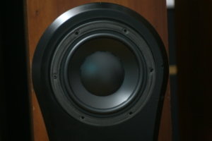 DPP_0028.JPG