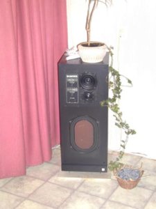 KEF%20Cantata.jpg