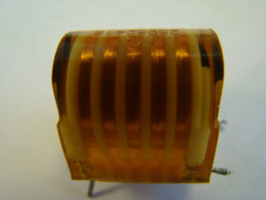 DSC01750-2.jpg