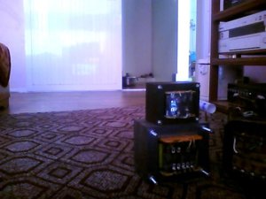 Picture 021[1].jpg