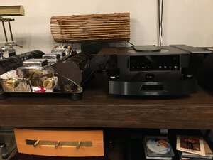 IMG_1379.JPG