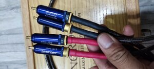 IMG_20211015_182322.jpg