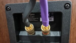 Kef Q950 mat sau.jpg