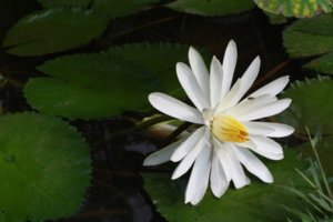 IMG_8598.JPG