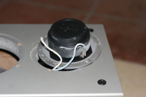 NDT IMG_5223.JPG