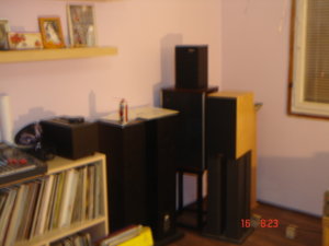 DSC06117.JPG