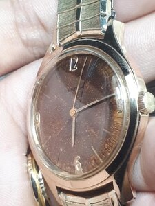6A4C2526-ABF5-46D6-8834-6D411051C187.jpeg