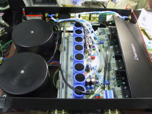 densen_dm10.jpg