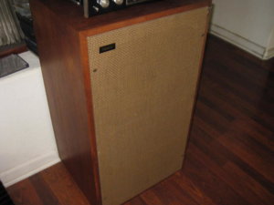 IMG_6518.JPG