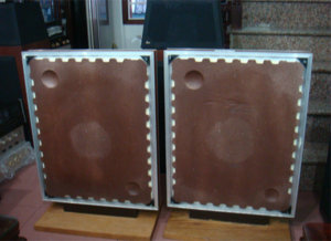 loa sm100-1.jpg